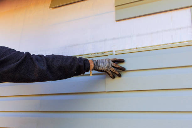 Affordable Siding Repair and Maintenance Services in Lakewood Ranch, FL